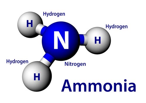 Ammonia NH3 - Copyright Rockall Safety Ltd.