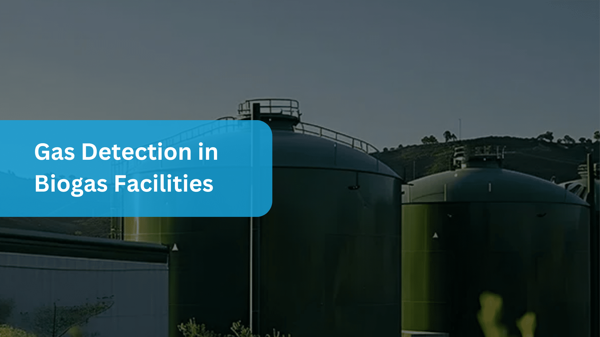 Gas Detection in Biogas Facilities