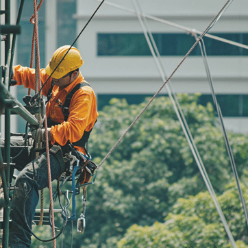 harness_training_course