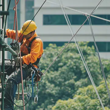 harness_training_course