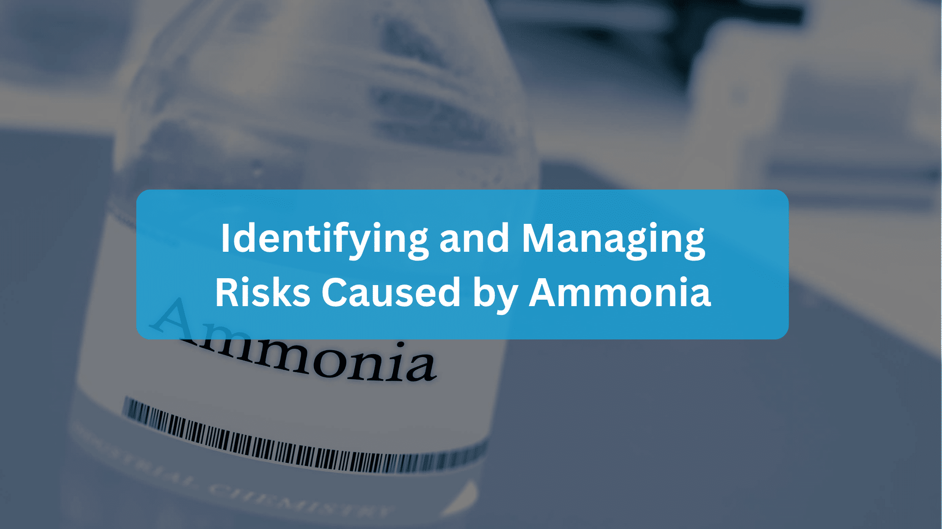 Identifying and Managing Risks Caused by Ammonia